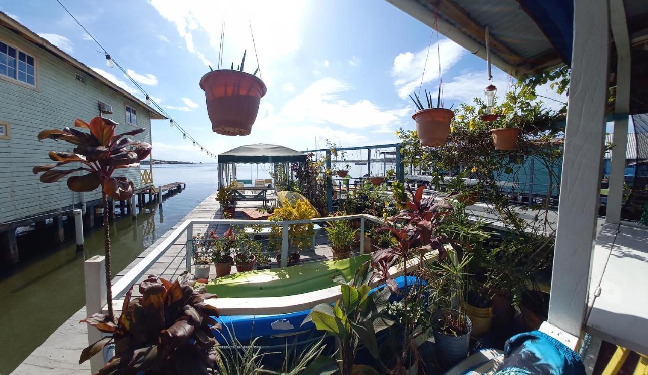 Urania House * Bocas del Toro